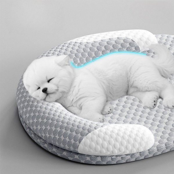 [토마]분리세탁가능 강아지 고양기 쿨매트방석/반려동물 쿠션 바닥 돗자리 수면방석(CN85)