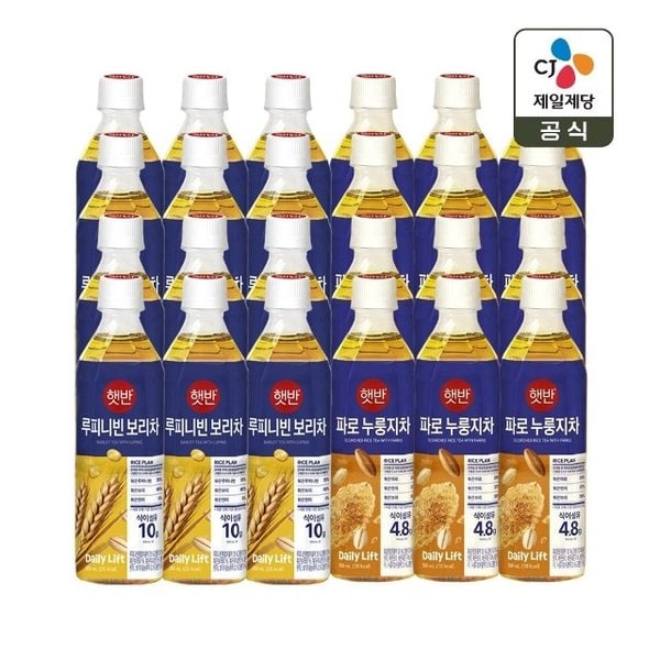 확대된 대표 image1