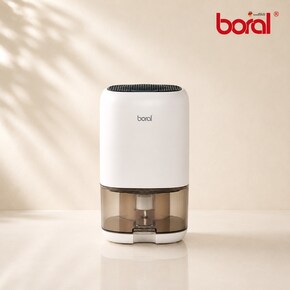무드등 미니 제습기 BR-401DH
