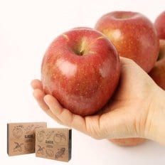 st푸른농원 충북괴산 달콤한 사과 3kg 9-10과