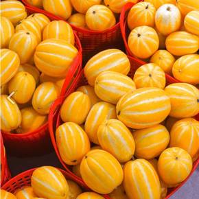 농장직송 성주 꿀 참외 가정용 랜덤과 5kg
