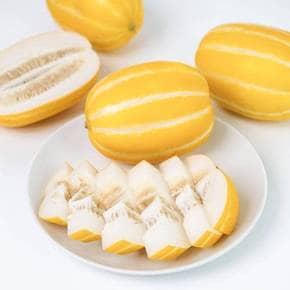 농장직송 성주 꿀 참외 가정용 랜덤과 5kg