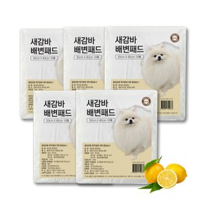 ViPET 브이펫 새감바 휴대용 애견배변패드 10매 5팩 / 레몬향