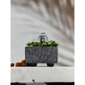 부처핸섬 Buddha Handsome Mini Garden