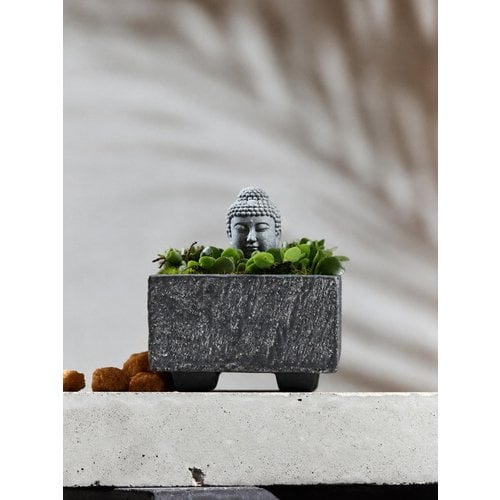 Add Image 1