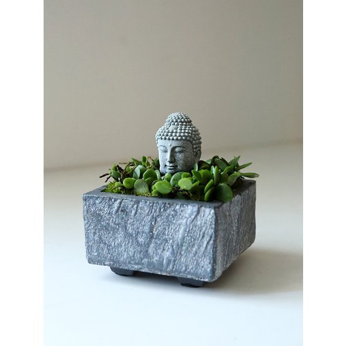 Add Image 6
