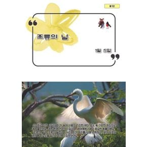 카드10%) 조류의 날
