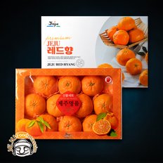 [1/15(수)순차출고] 현가원 서귀포 레드향 3kg (7-10과, 실중량)