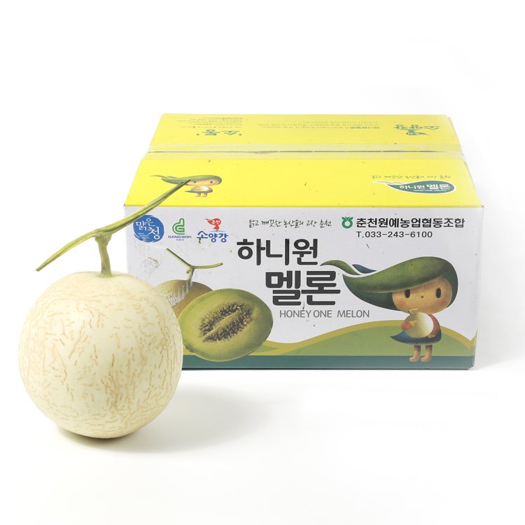 초고당도 국산 하니원 메론 멜론 4.2Kg 3통(1통 1.4Kg 이상), 믿고 사는 즐거움 Ssg.Com