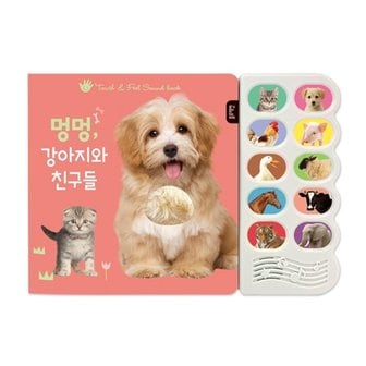 블루래빗 TOY감각자극사운드북 멍멍 강아지와친구들_P318344127