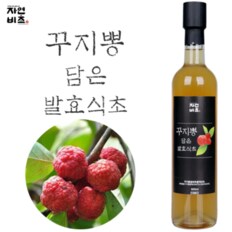 꾸지뽕 담은 발효식초 500ml