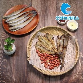 촉촉한 반건조 노가리 500g