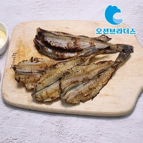 촉촉한 반건조 노가리 500g
