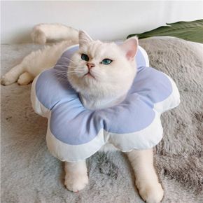 힐링타임 NH-3206 키티요요 넥카라 블루 M