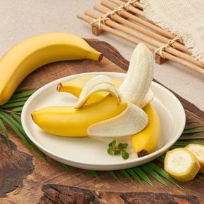 [프리미엄] 필리핀산 풍미왕 바나나 550g (3~4입) 팩