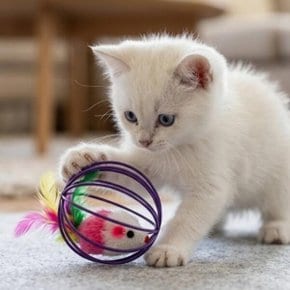 마우스 인형 와이어 캣볼 장난감 500831