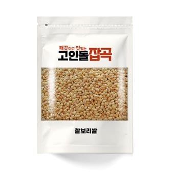 고인돌 24년 고인돌잡곡 국내산 찰보리쌀 찰보리 500g