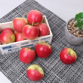 루비에스 사과 1kg 혼합과 17-20과