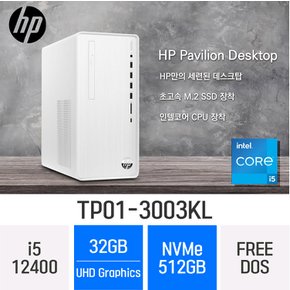 파빌리온 TP01-3003KL - 램 32GB / NVMe 512GB / FREEDOS
