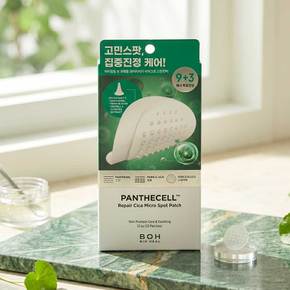 판테셀 리페어시카 마이크로 스팟패치 12매