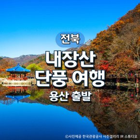 KTX가을 명소 1번지! 내장산 기차여행(서울출발)