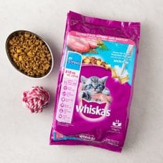 [위스카스 whiskas]주니어 오션피쉬 1.1kg