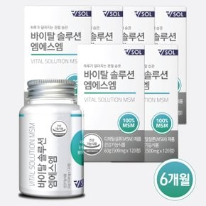 VSOL 바이탈솔루션 엠에스엠 MSM 6병(6개월 )