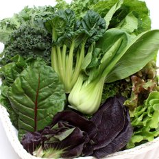다농이네 산지직송 쌈채소 모듬 1kg