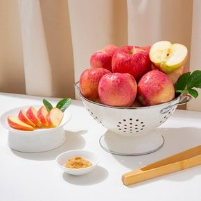 [더조은] 경북 홍로 알뜰 꿀사과 8kg 40-50과