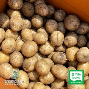 제주푸드마씸 제주오가닉스 유기농 알감자 5kg (제주산, 실중량)