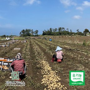 제주오가닉스 유기농 알감자 5kg (제주산, 실중량)