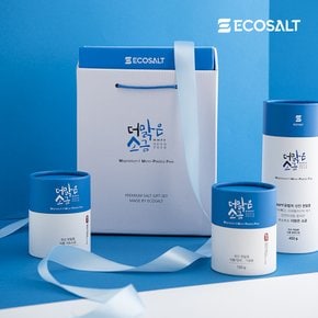 [에코솔트] 10년치 간수를 뺀 더맑은 소금 선물세트5호 (750g) 쇼핑백포함