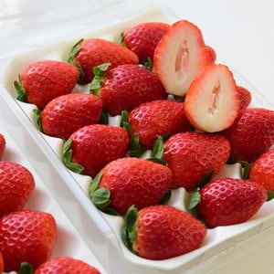 농부들의수확 [유명산지][안전포장]논산 설향 딸기 750g(20-30구)