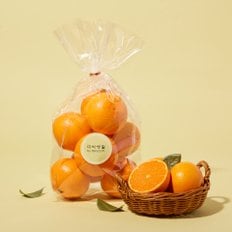  저탄소 미미천혜향 1kg/봉 (7~8입)