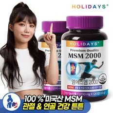 [홀리데이즈] MSM2000 2병 240정[29756278]