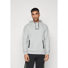 4402399 Ellesse DUCENTA HOODIE - Hoodie grey marl