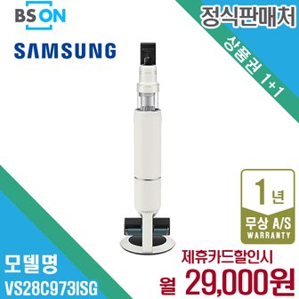 삼성 비스포크 제트 280W 고온세척/침구 브러시 패키지 그레이지 VS28C973ISG 5년 42000