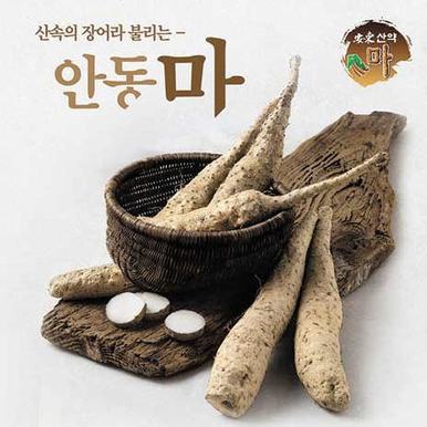 [안동 산약 마] 안동산지 마사토에서 자란 [명품 안동참마 3kg (알뜰 / 중급 / 상급 / 특급)]