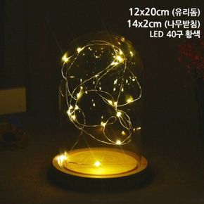 16호 LED 원목받침 타원유리돔 용기