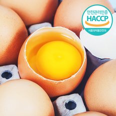 [HACCP] 농장직송 웰굿 신선한 계란 20구(1판,대란)