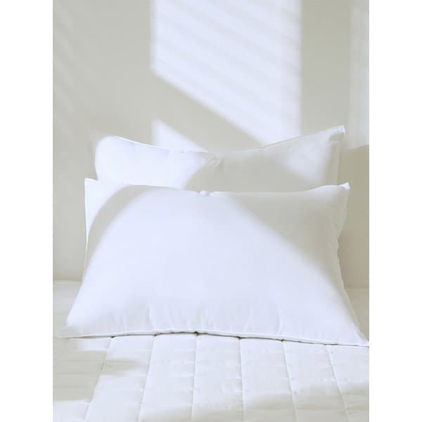 1+1 국내산 지퍼형 항균 새솜 스탠다드 베개솜 40x60/50x70