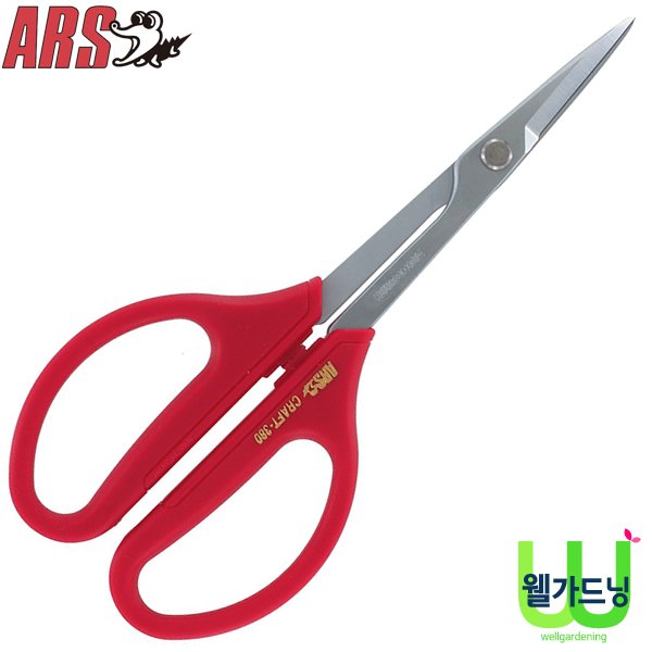 확대된 대표 상품이미지1