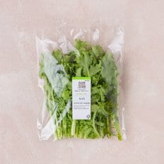  치커리 (80g)