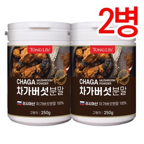 -차가버섯 분말100%-250g-2병