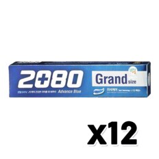 2080 어드밴스그랜드치약 대용량치약 220g X 12개