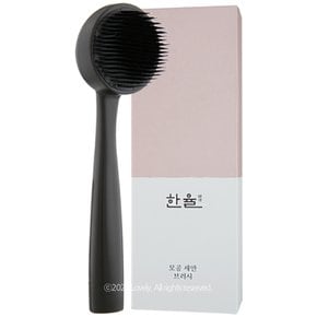 모공 세안 브러쉬