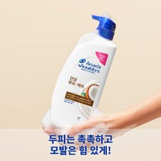 건성두피케어 샴푸 750ml 2개