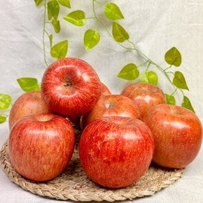 [정품] 부사 꿀 사과 소꼬마과 (14-16과) 2kg (개별망)
