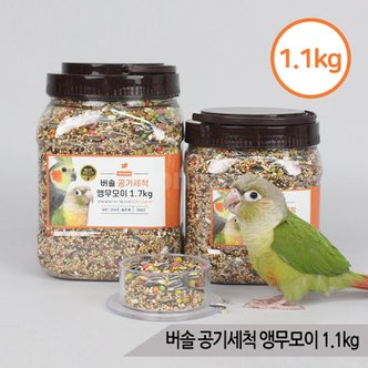 올블루 버솔 공기세척 앵무모이1.1kg 코뉴어 왕관 앵무새사료