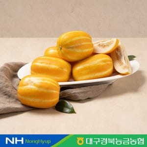 대구경북능금농협 성주 꿀 참외 2.5kg 6-13과 가정용 산지직송
